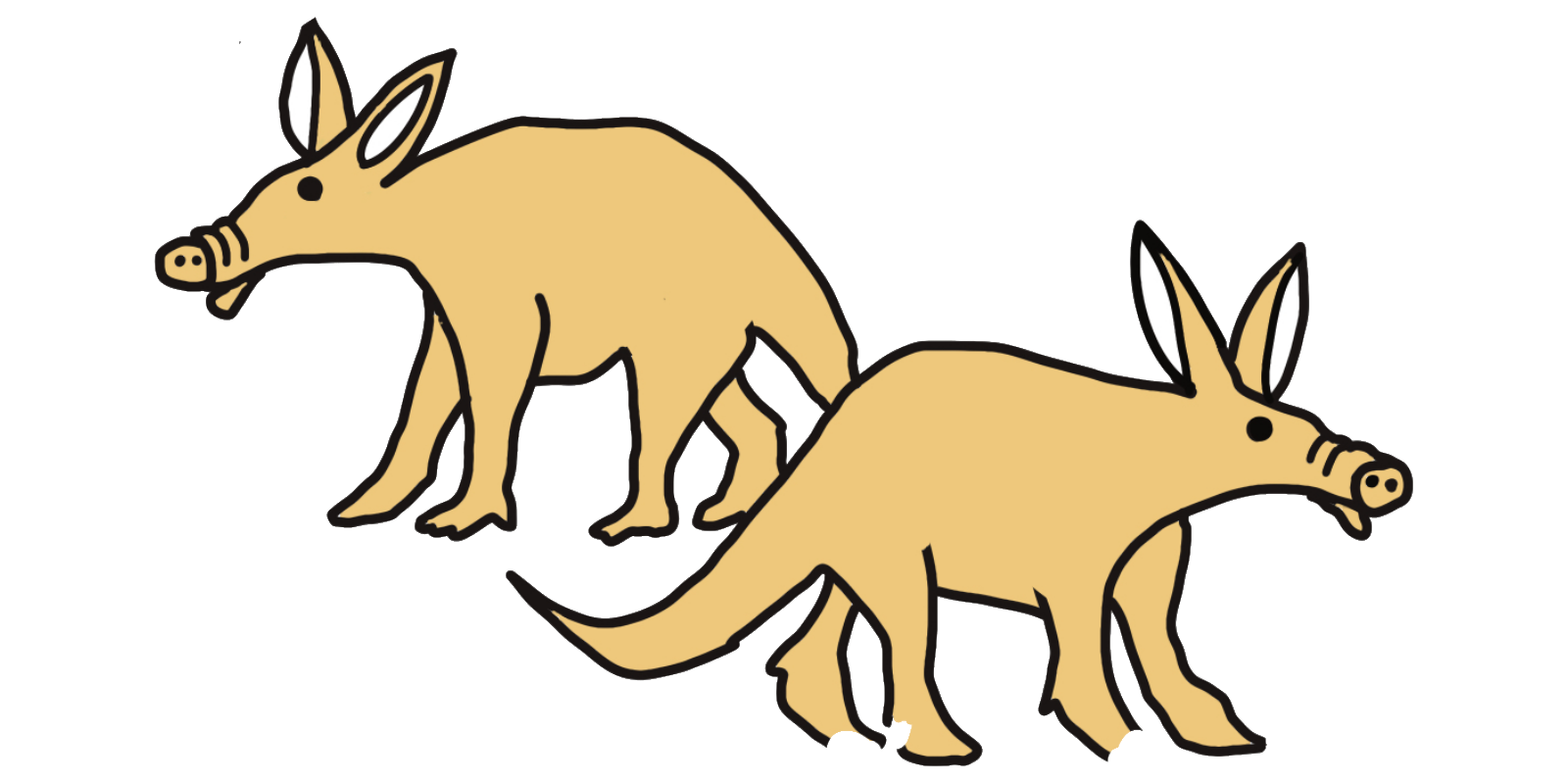 Hand drawn picture of aardvarks