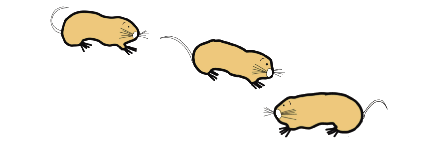 Hand drawn picture of zokors